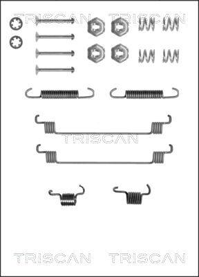 Triscan 8105 252519 - Комплектуючі, барабанний гальмівний механізм autozip.com.ua