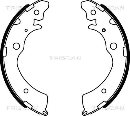 Triscan 8100 40508 - Комплект гальм, барабанний механізм autozip.com.ua