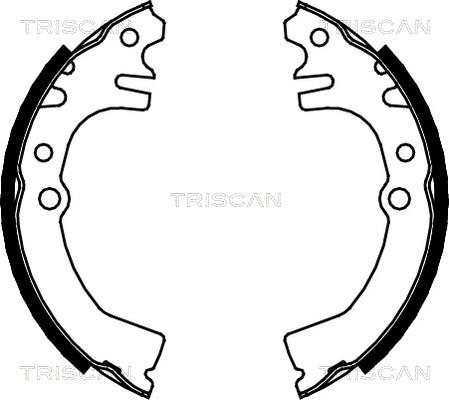 Triscan 8100 41613 - Комплект гальм, барабанний механізм autozip.com.ua