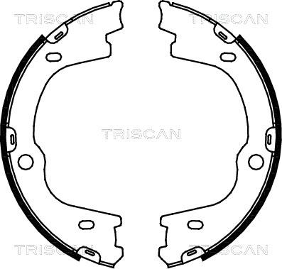 Triscan 8100 43026 - Комплект гальм, ручник, парковка autozip.com.ua