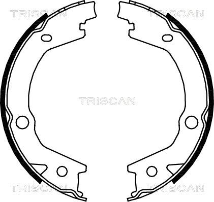 Triscan 8100 43020 - Комплект гальм, ручник, парковка autozip.com.ua