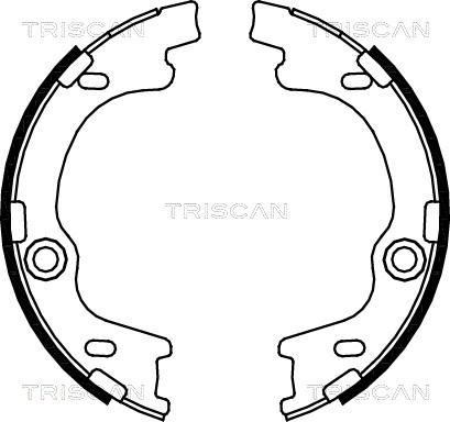 Triscan 8100 43021 - Комплект гальм, барабанний механізм autozip.com.ua