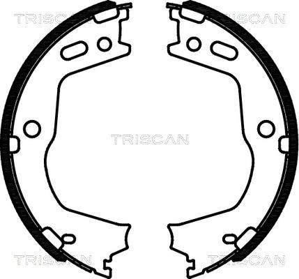 Triscan 8100 43028 - Комплект гальм, ручник, парковка autozip.com.ua