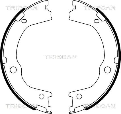 Triscan 8100 43027 - Комплект гальм, барабанний механізм autozip.com.ua