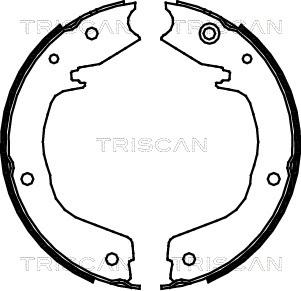 Triscan 8100 42019 - Комплект гальм, ручник, парковка autozip.com.ua