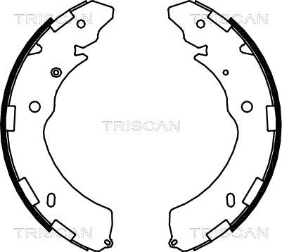 Triscan 8100 42021 - Комплект гальм, барабанний механізм autozip.com.ua