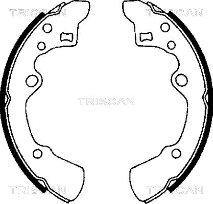 Triscan 8100 50496 - Комплект гальм, барабанний механізм autozip.com.ua