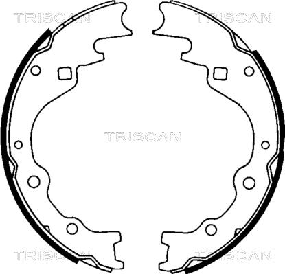 Triscan 8100 50461 - Комплект гальм, барабанний механізм autozip.com.ua