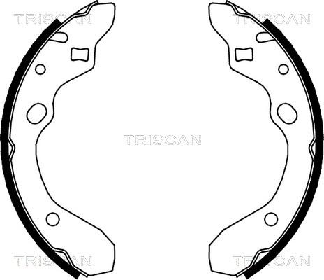 Triscan 8100 50546 - Комплект гальм, барабанний механізм autozip.com.ua