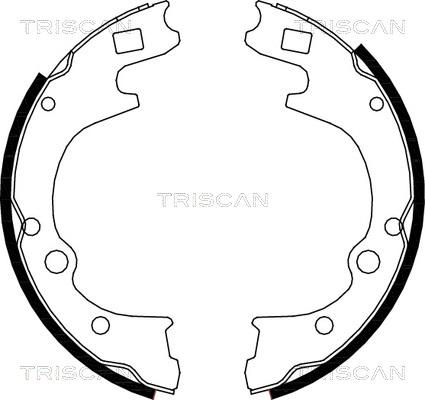 Triscan 8100 50604 - Комплект гальм, барабанний механізм autozip.com.ua