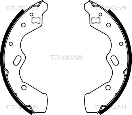 Triscan 8100 50615 - Комплект гальм, барабанний механізм autozip.com.ua