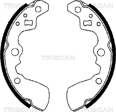 Triscan 8100 69550 - Комплект гальм, барабанний механізм autozip.com.ua