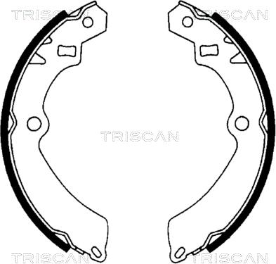 Triscan 8100 69511 - Комплект гальм, барабанний механізм autozip.com.ua