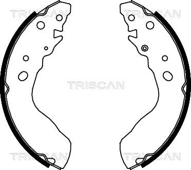 Triscan 8100 69584 - Комплект гальм, барабанний механізм autozip.com.ua