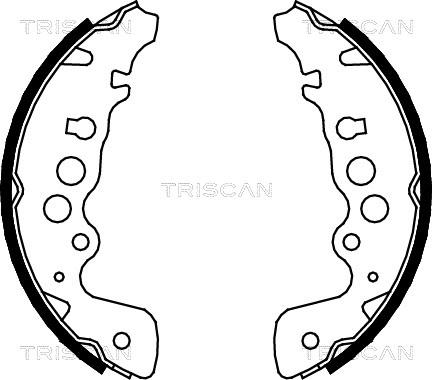Triscan 8100 69608 - Комплект гальм, барабанний механізм autozip.com.ua