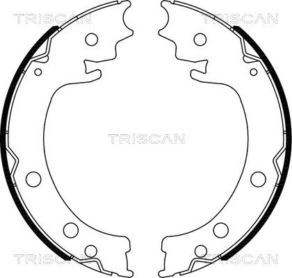 Triscan 8100 69006 - Комплект гальм, ручник, парковка autozip.com.ua