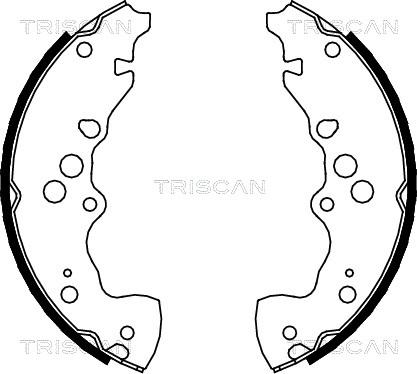 Triscan 8100 69003 - Комплект гальм, барабанний механізм autozip.com.ua