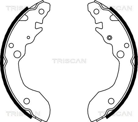 Triscan 8100 69007 - Комплект гальм, барабанний механізм autozip.com.ua