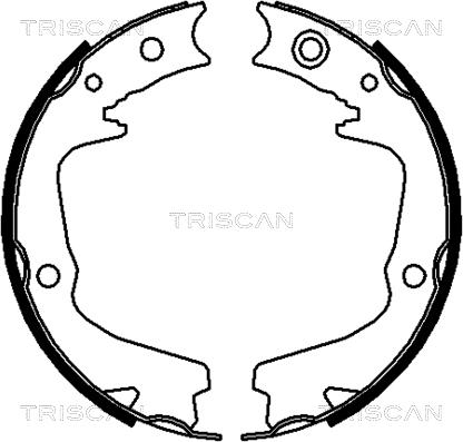 Triscan 8100 68002 - Комплект гальм, барабанний механізм autozip.com.ua