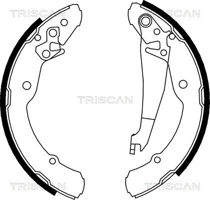 Triscan 8100 67631 - Комплект гальм, барабанний механізм autozip.com.ua
