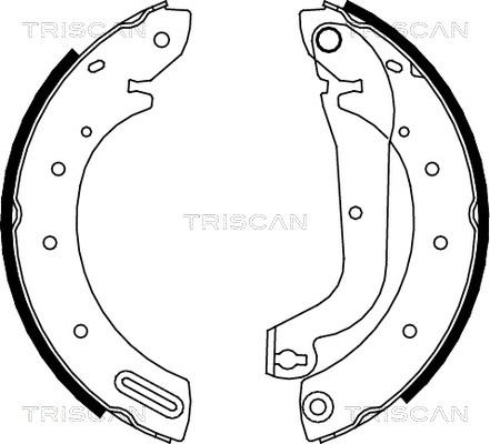 Triscan 8100 14596 - Комплект гальм, барабанний механізм autozip.com.ua