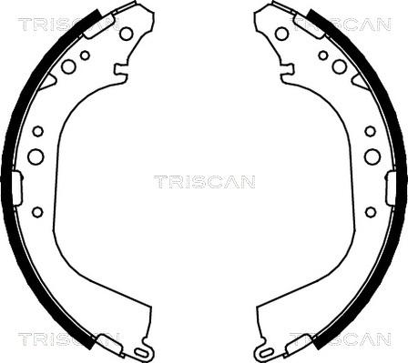 Triscan 8100 14565 - Комплект гальм, барабанний механізм autozip.com.ua
