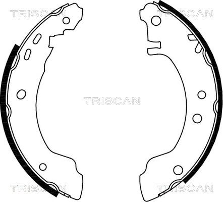 Triscan 8100 14531 - Комплект гальм, барабанний механізм autozip.com.ua