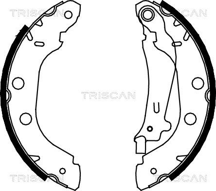 Triscan 8100 14614 - Комплект гальм, барабанний механізм autozip.com.ua