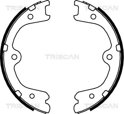 Triscan 8100 14009 - Комплект гальм, ручник, парковка autozip.com.ua