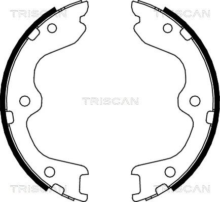 Triscan 8100 14010 - Комплект гальм, барабанний механізм autozip.com.ua