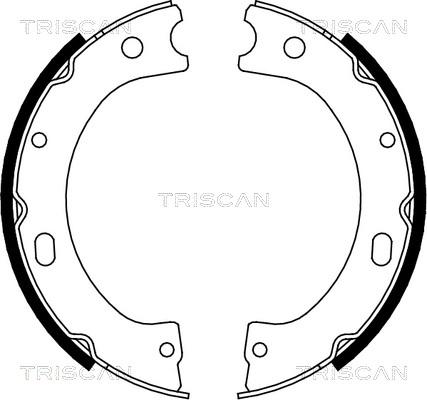 Triscan 8100 14011 - Комплект гальм, барабанний механізм autozip.com.ua