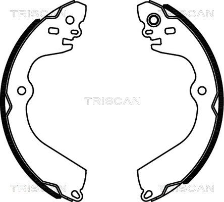 Triscan 8100 14013 - Комплект гальм, барабанний механізм autozip.com.ua