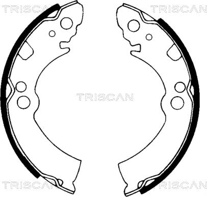 Triscan 8100 14396 - Комплект гальм, барабанний механізм autozip.com.ua
