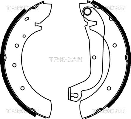 Triscan 8100 15480 - Комплект гальм, барабанний механізм autozip.com.ua