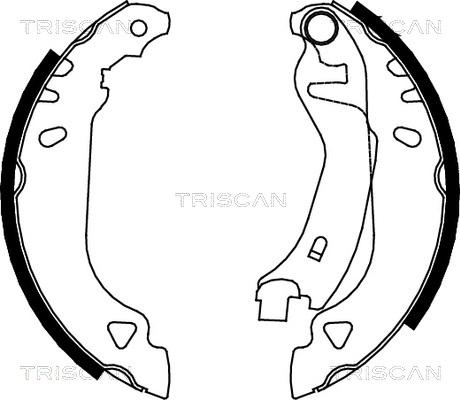 Triscan 8100 15482 - Комплект гальм, барабанний механізм autozip.com.ua