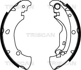 Triscan 8100 15625 - Комплект гальм, барабанний механізм autozip.com.ua