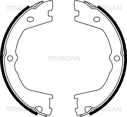 Triscan 8100 15019 - Комплект гальм, ручник, парковка autozip.com.ua