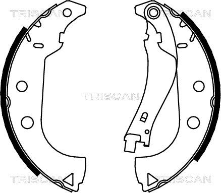 Triscan 8100 15020 - Комплект гальм, барабанний механізм autozip.com.ua