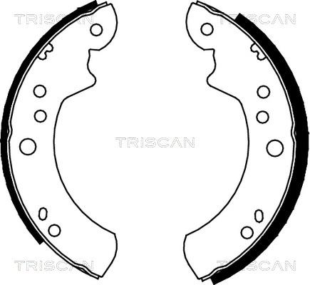 Triscan 8100 16446 - Комплект гальм, барабанний механізм autozip.com.ua