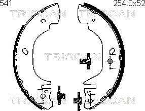 Triscan 8100 16541 - Комплект гальм, барабанний механізм autozip.com.ua