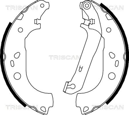 Triscan 8100 16011 - Комплект гальм, барабанний механізм autozip.com.ua