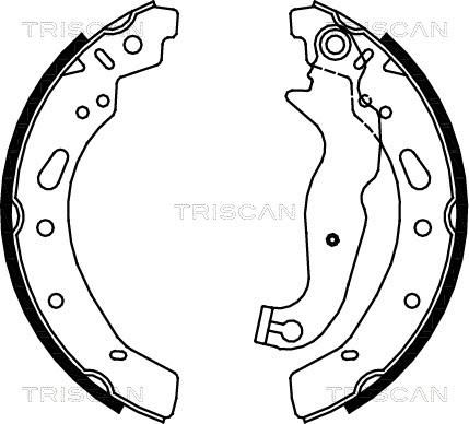 Triscan 8100 16012 - Комплект гальм, барабанний механізм autozip.com.ua