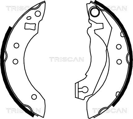 Triscan 8100 16355 - Комплект гальм, барабанний механізм autozip.com.ua