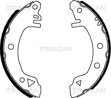 Triscan 8100 16375 - Комплект гальм, барабанний механізм autozip.com.ua