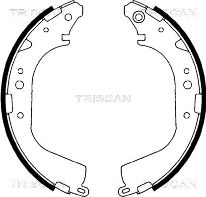 Triscan 8100 10425 - Комплект гальм, барабанний механізм autozip.com.ua