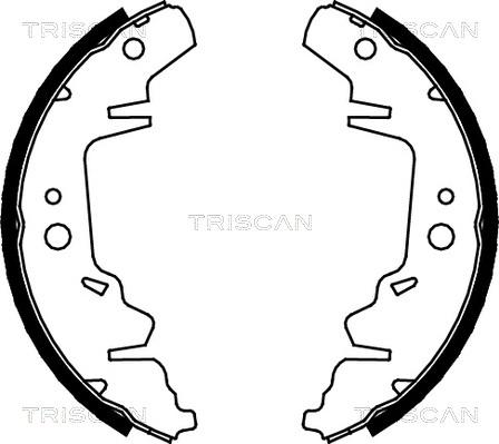 Triscan 8100 10593 - Комплект гальм, барабанний механізм autozip.com.ua