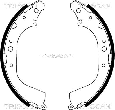Triscan 8100 10519 - Комплект гальм, барабанний механізм autozip.com.ua