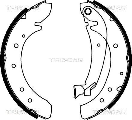 Triscan 8100 10576 - Комплект гальм, барабанний механізм autozip.com.ua