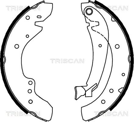 Triscan 8100 10573 - Комплект гальм, барабанний механізм autozip.com.ua