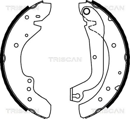 Triscan 8100 10577 - Комплект гальм, барабанний механізм autozip.com.ua